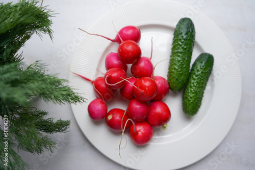 Spring fresh vegetables radishes, cucumber and greens on white plate. Fresh organic farm vegetables, radishes, cucumbers.