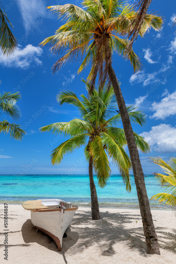 Palm trees and boat in tropical sunny beach resort in Paradise island.