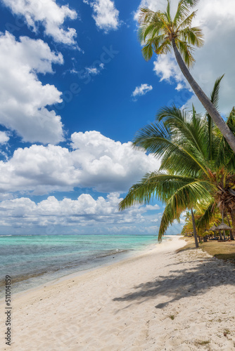 Paradise palm beach resort with palm trees and and tropical sea in Mauritius island. Summer vacation and tropical beach concept.