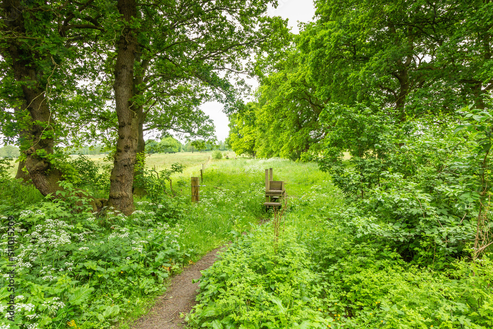 Landscape walking route Pieterpad long distance path near Anderssche Diep in the Dutch province of Drenthe with wooden steps to pass fences with electric fences Landscape walking route Pieterpad long distance path near Anderssche Diep in the Dutch province of Drenthe with wooden steps to pass fences with electric fences
