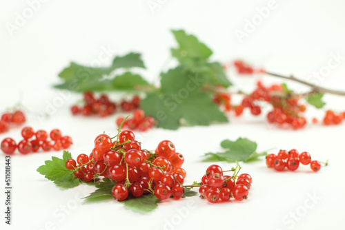 Red currant isolated on bright background. Selective focus.