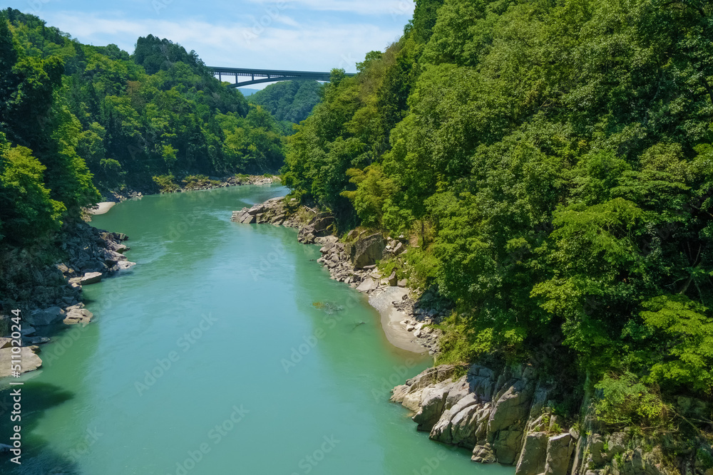 新緑の天龍峡と天龍峡大橋　長野県