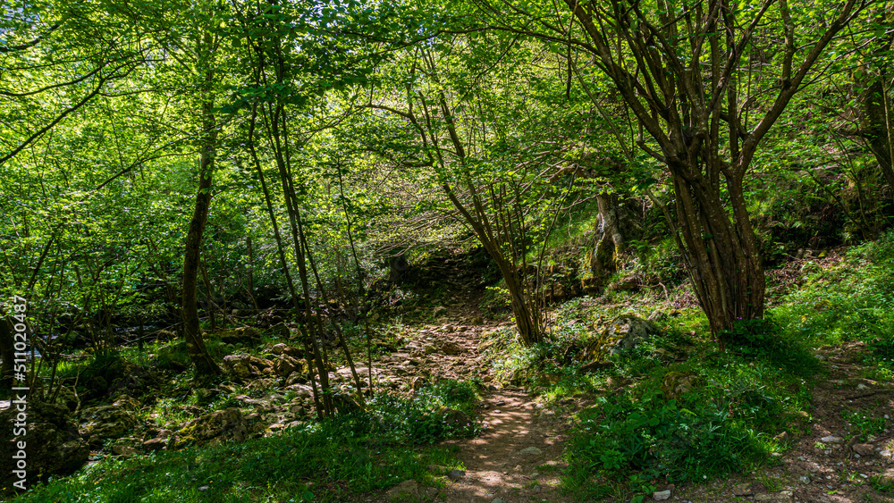 Beautiful panoramic view of the Asón river in the hiking route of the source and waterfall of the Asón river (Asón) Cantabria Beautiful panoramic view of the Asón river in the hiking route of the source and waterfall of the Asón river (Asón) Cantabria