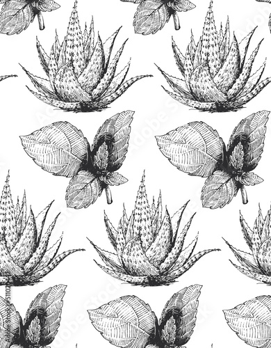 Mint and aloe, wallpaper. Herb seamless pattern.