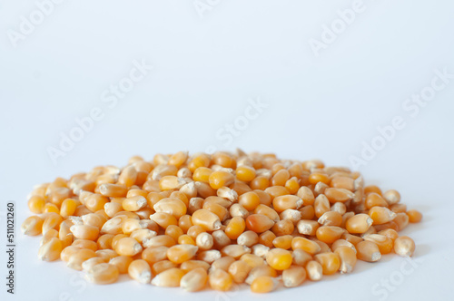 Heap of organic, natural raw corn kernels for popcorn with shallow depth. Close up view of ripe corn seeds known as "Zea Mays" isolated on white