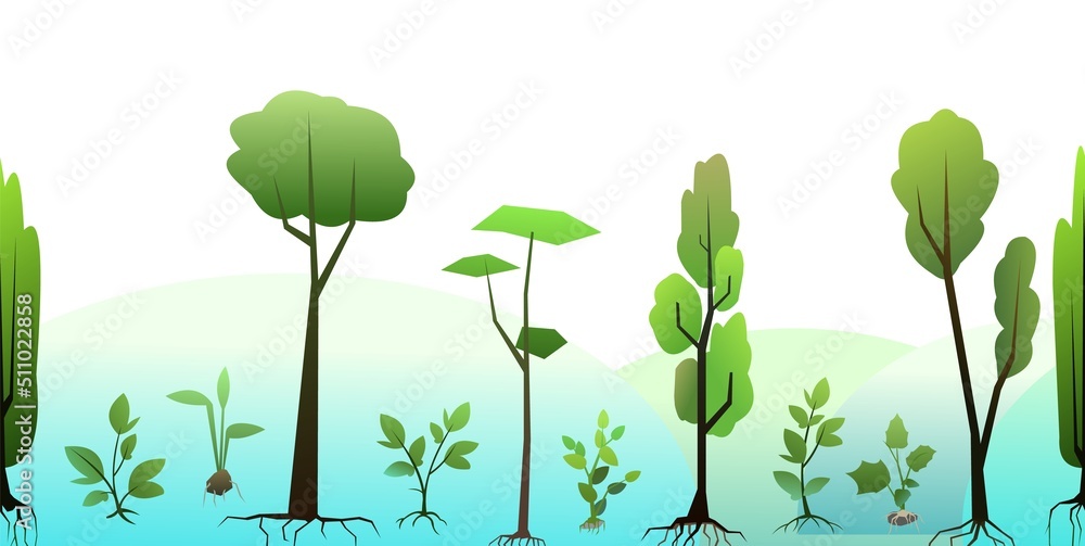 Seedlings of young trees with roots. Garden plants. Fruit plantings. Isolated on white background. Bottom seamless horizontal composition border. Vector