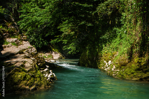 waterfall in the forest