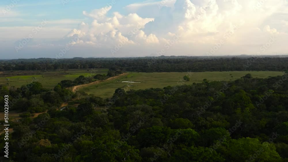 Aerial view of jungle with tropical vegetation in national parks of Sri Lanka. Aerial view of jungle with tropical vegetation in national parks of Sri Lanka.