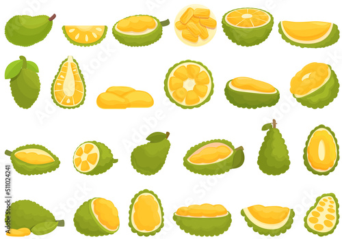 Jackfruit icons set cartoon vector. Vegan fruit. Tropical peeled
