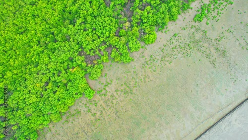 Aerial view over beautiful mangrove jungle at Bang Ya Phraek, Samut Sakhon, Thailand. Mangrove landscape. relaxing and scenic environment. mangroves along the coastline. nature conservation. 4k Drone
 photo