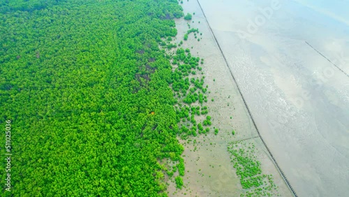 4K : Aerial view over beautiful mangrove forest at Bang Ya Phraek, Samut Sakhon, Thailand. mangroves along the coastline. Environmental conservation concept. Drone Footage. 
 photo