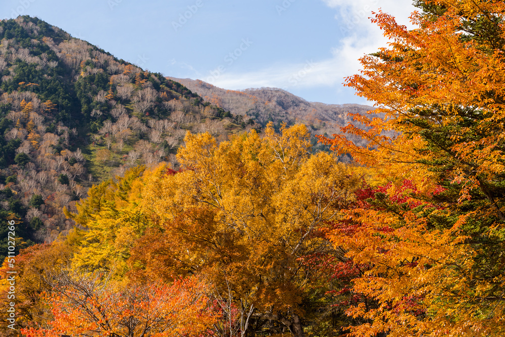 Beautiful scenery landscape at autumn season