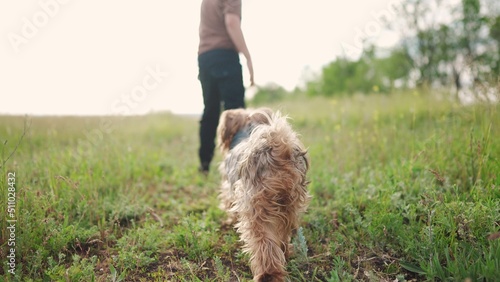 boy walking the dog in the park. happy family pet shaggy puppy kid dream concept. small child legs close-up walking in nature in the park with a dog. child and dog walking in lifestyle nature