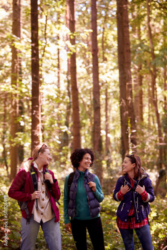 Portrait Of Female Friends On Camping Holiday Hiking Through Woods And Enjoying Nature Together