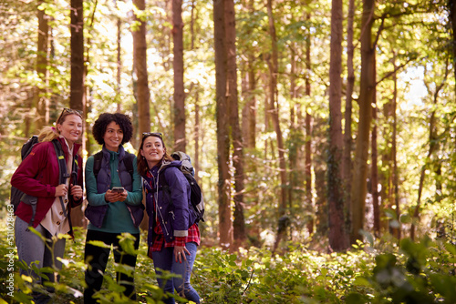Female Friends With Mobile Phone On Holiday Hiking Through Woods Using GPS App To Navigate © Monkey Business