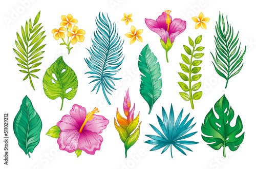 Tropic flowers, leaves watercolor vector. Tropics leaf and hibiscus plant sticker. Simple tropical palm. Jungle flat floral hawaiian logo. Spa vector for Hawaii Bali Brazil. Isolated exotic abstract
