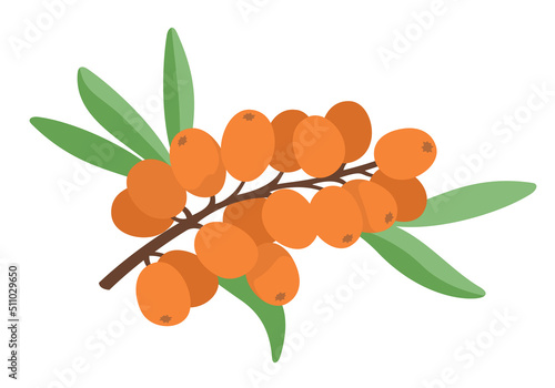 Sea buckthorn branch. Berries in cartoon style.