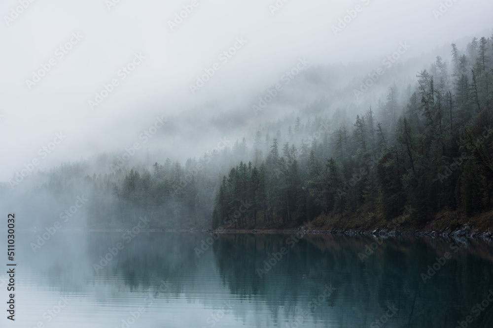 Tranquil atmospheric scenery with turquoise mountain lake and coniferous trees silhouettes in dense fog. Pure alpine lake in mystery thick fog. Calm glacial lake and forest edge in misty early morning