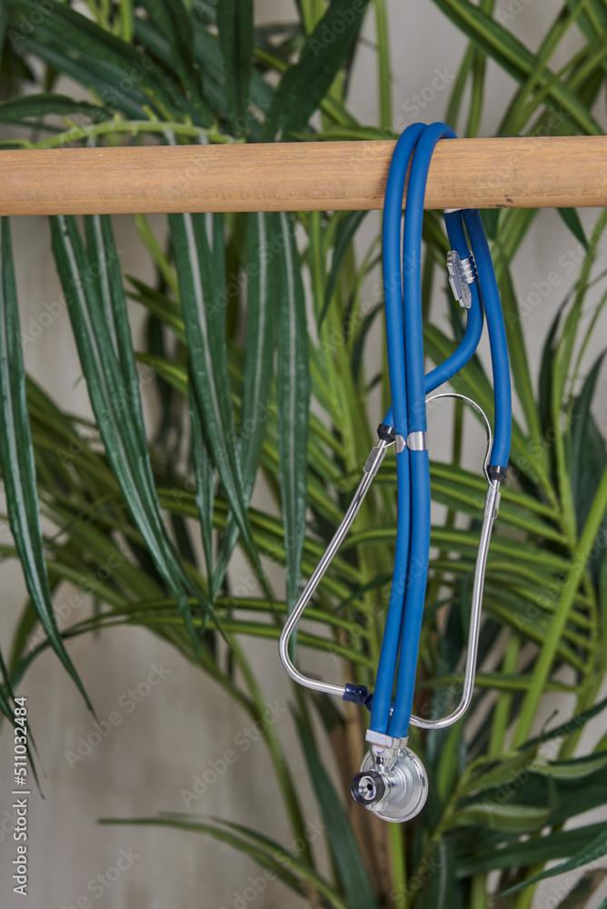 The stethoscope hangs on a wooden crossbar in the doctor's office, decorated with fresh flowers. The stethoscope hangs on a wooden crossbar in the doctor's office, decorated with fresh flowers.