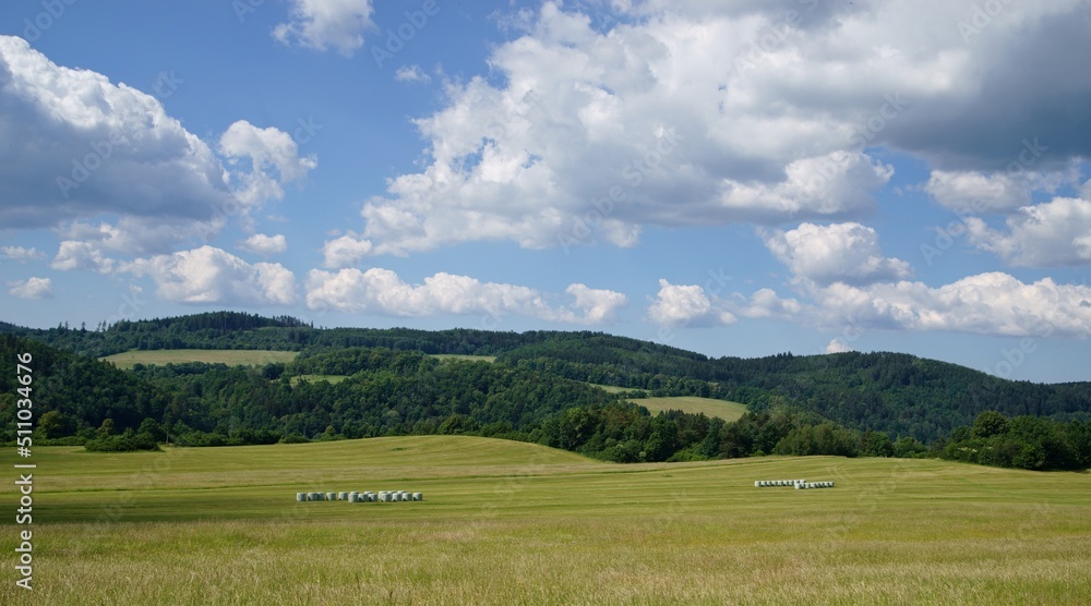 View of fences for horses, countryside, beautiful summer weather. View of fences for horses, countryside, beautiful summer weather.