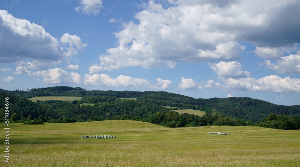 View of fences for horses, countryside, beautiful summer weather.