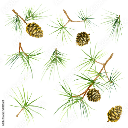 Set of pine tree branches with cones and needles. Watercolor illustration isolated on a white background