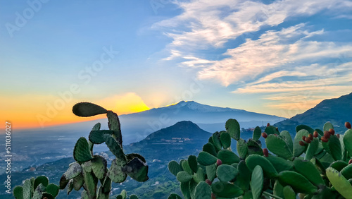 Focused closeup view on silhouette of Prickly Pear Cactus flower with needles. Watching the beautiful sunset behind volcano Mount Etna near Castelmola, Taormina, Sicily, Italy, Europe, EU. Sun beams