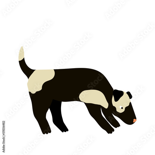 Cute  portrait of black and white sniffing dog on white background . Simple and stylish hand-drawn print.