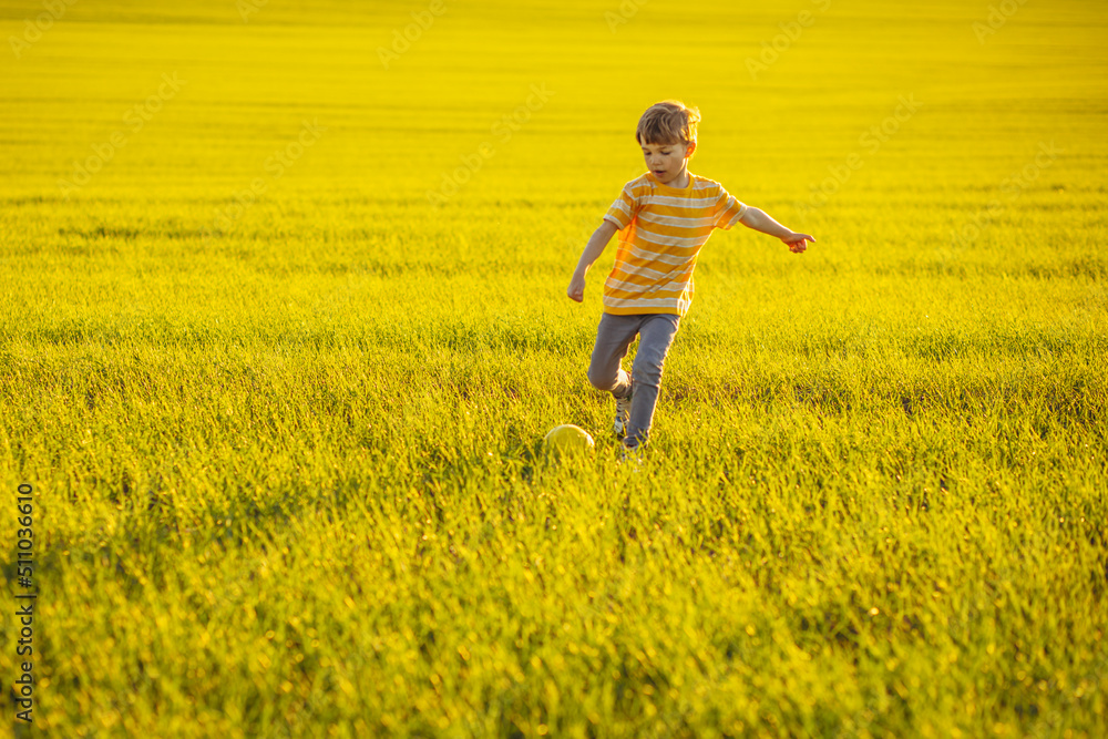 Boy with soccer ball in the meadow Boy with soccer ball in the meadow