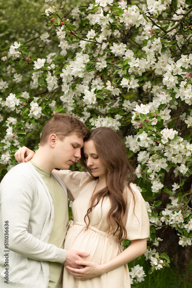 beautiful pregnant woman walks in a blooming garden. husband hugging pregnant wife beautiful pregnant woman walks in a blooming garden. husband hugging pregnant wife