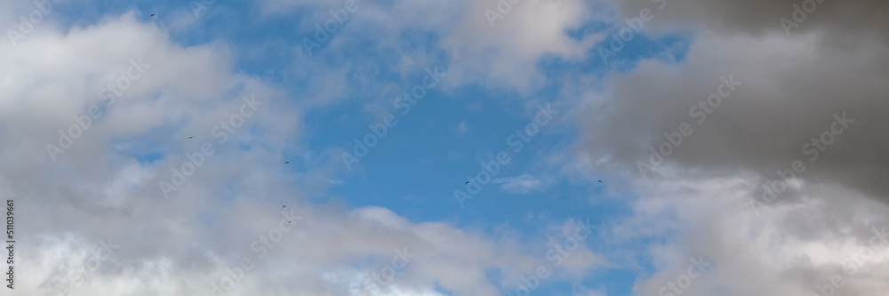 Panoramic fluffy cloud in the blue sky.