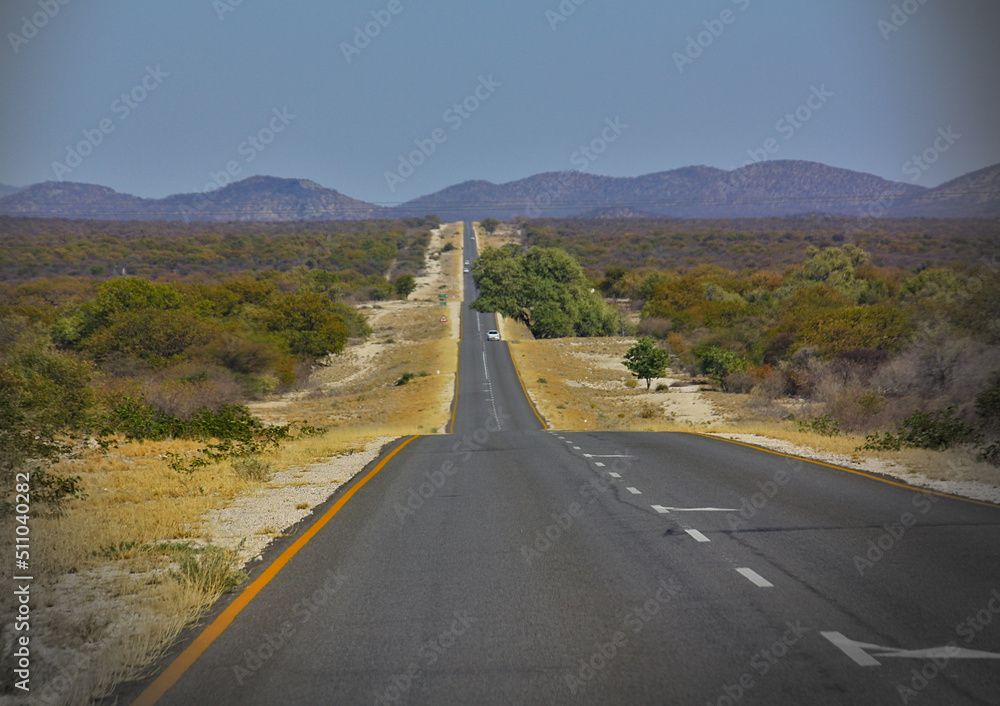 Fototapeta premium Straße durch die Savanne