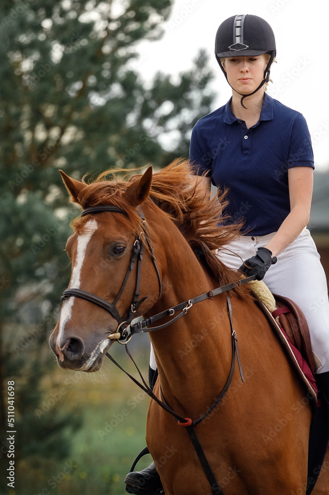 Picture in close up of young girl riding her horse.