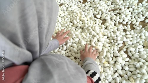 Silkworms feeding on mulberry leaves in a silkworm production facility.
Processes of preparing silkworm cocoons for silk production.