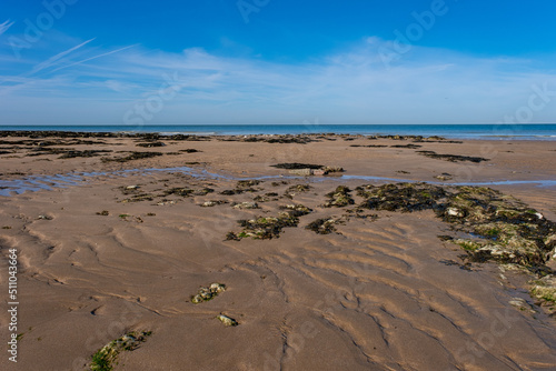 Fototapeta Naklejka Na Ścianę i Meble -  Beach scene with sand, rocks, seaweed and water