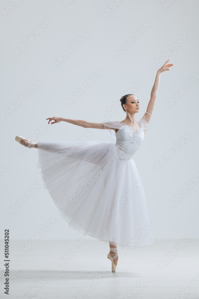 Young Beautiful Female Ballerina Posing on Studio Background Young Beautiful Female Ballerina Posing on Studio Background