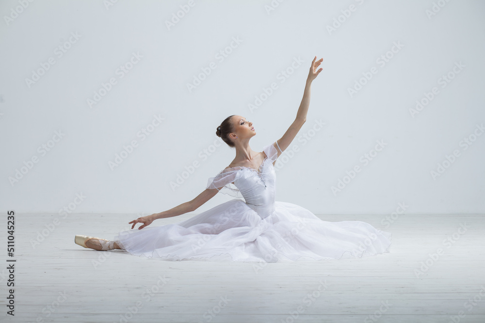 Young Beautiful Female Ballerina Posing on Studio Background Stock