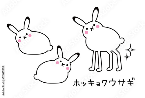 立ちあがると足が長い姿が面白いホッキョクウサギ イラスト セット ベクター
