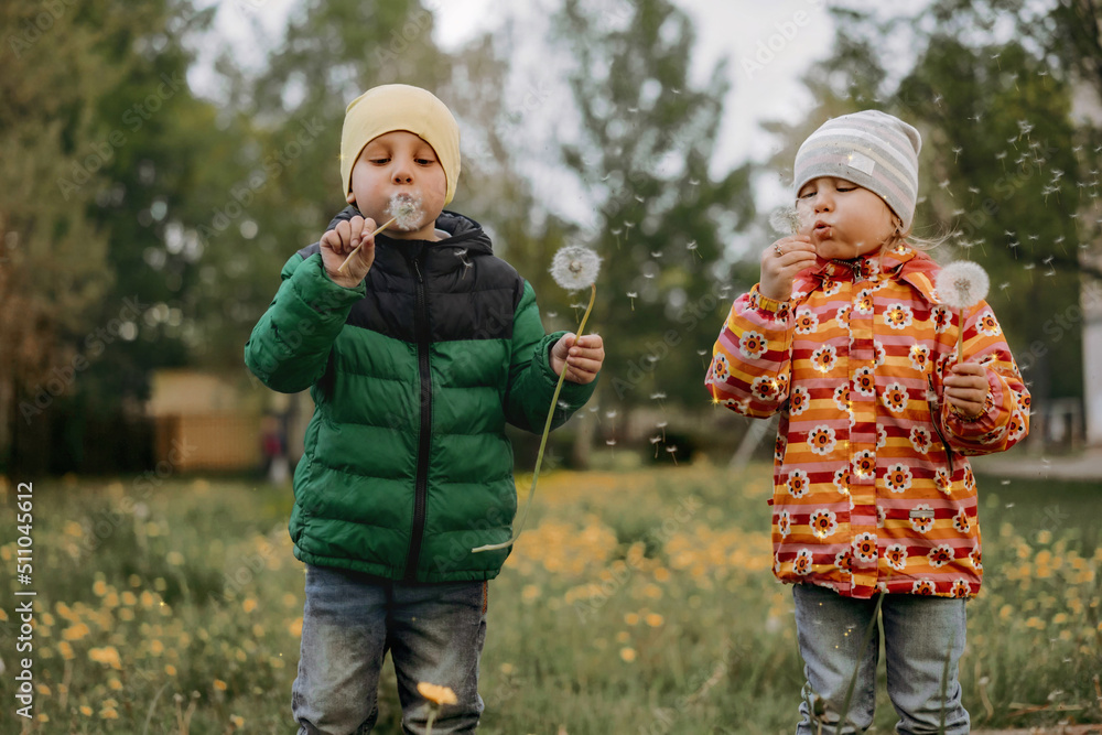 Adorable little children blowing dandelions in garden Adorable little children blowing dandelions in garden