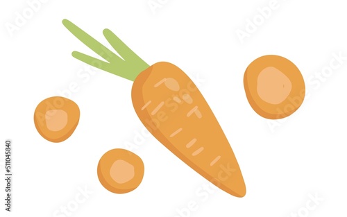 Hand drawn Carrot in cartoon style. Healthy food elements. Vector illustration isolated on white background