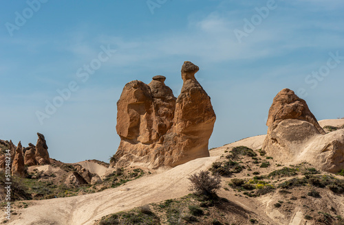 Unique fairy chimneys, volcanic rock formations like camel at Devrent Imagination Valley, Cappadocia, Turkey. Noisy and grainy texture.