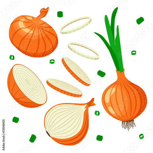 
Set of yellow onions with green leaves, onion halves and slices. Vector illustration in flat style isolated on white background.