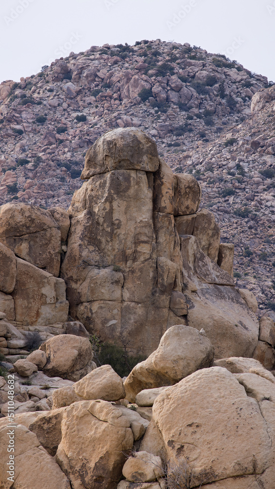Natural Rock Formations from Joshua Tree National Park Natural Rock Formations from Joshua Tree National Park