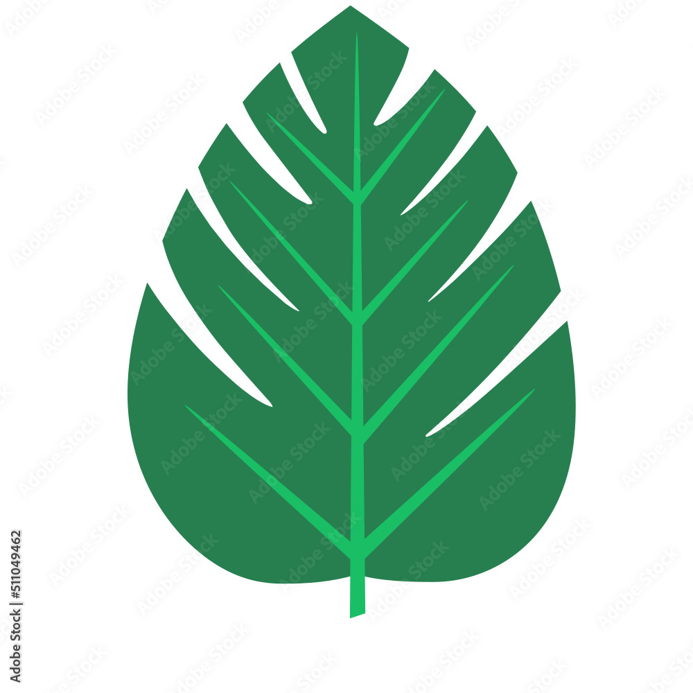 Vector element of tropical leaves, banana leaf, aesthetic leaves Vector element of tropical leaves, banana leaf, aesthetic leaves