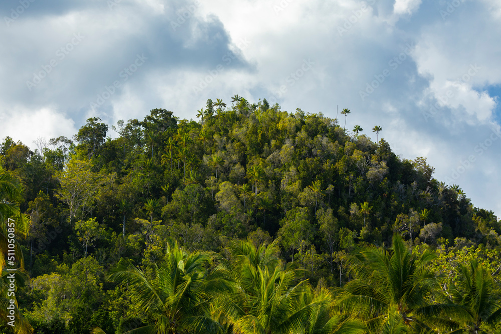 Obraz premium Green hills and mountains, populated by dense jungles of tropical trees, silhouetted against a sky of clouds in Raja Ampat Islands, West Papua, Indonesia