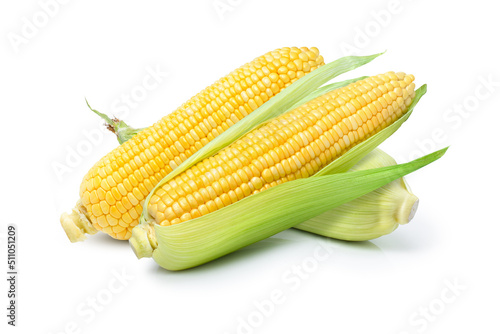 Corn on white photo