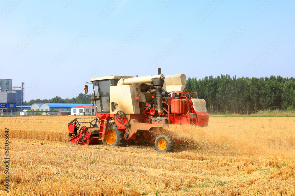 combine harvester working on a wheat field combine harvester working on a wheat field