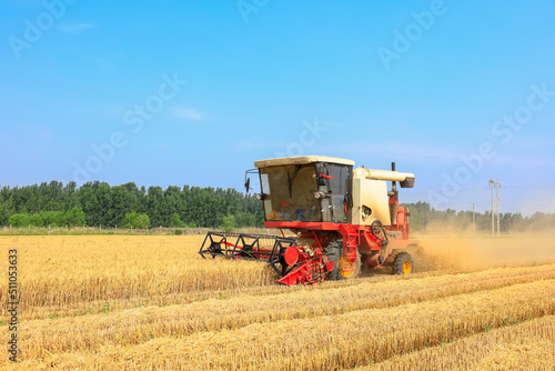 combine harvester working on a wheat field © zhengzaishanchu