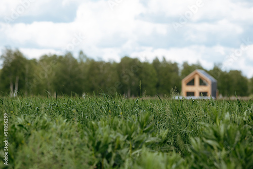 barnhouse in the field in summer