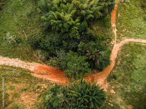 Natureza de Amélia Rodrigues